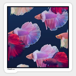 Betta Tester Sticker